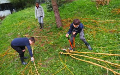 photos « toutes fraiches » du club jardin !