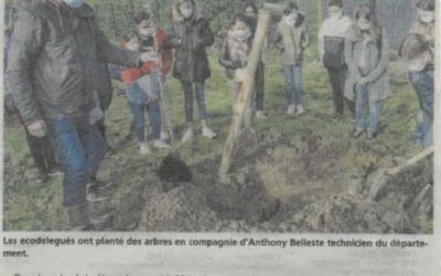 Développement durable et biodiversité au collège