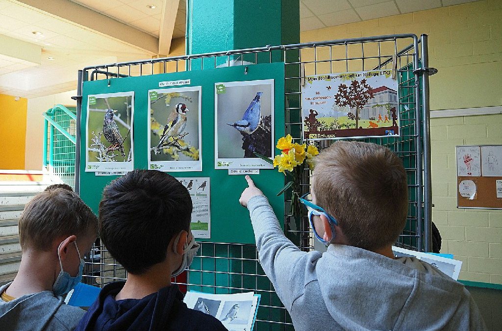 La biodiversité en 6ème grâce à la LPO !