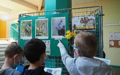 La biodiversité en 6ème grâce à la LPO !